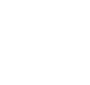 International Geriatric Radiotherapy Group